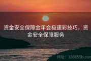 资金安全保障金年会极速彩技巧，资金安全保障服务
