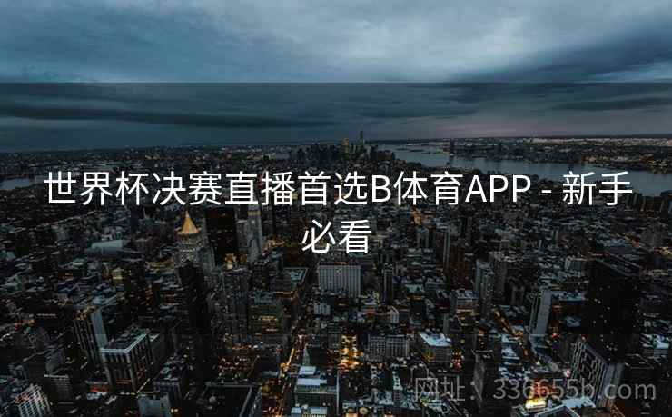 世界杯决赛直播首选B体育APP - 新手必看