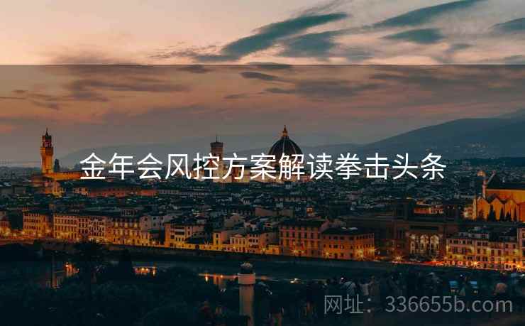 金年会风控方案解读拳击头条