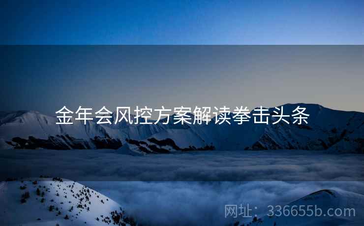 金年会风控方案解读拳击头条