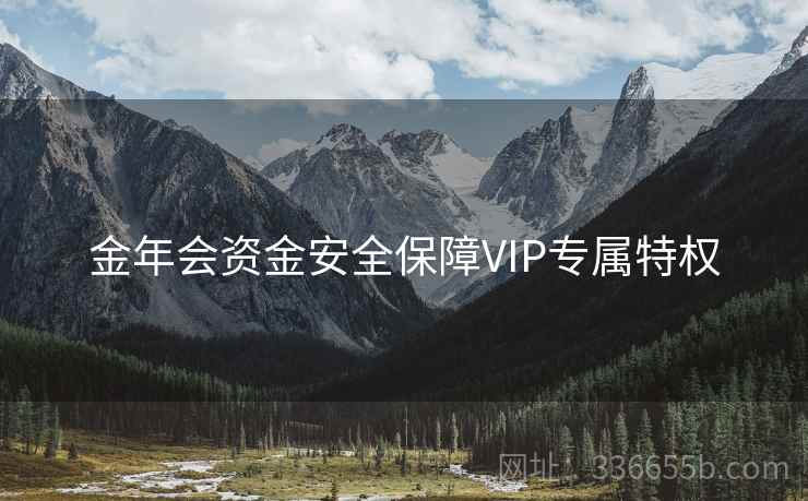 金年会资金安全保障VIP专属特权
