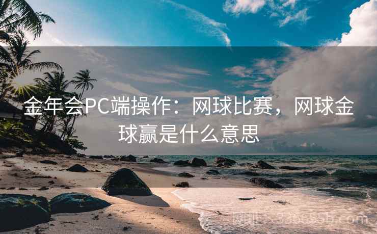 金年会PC端操作：网球比赛，网球金球赢是什么意思